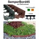 SemperBord45 Terrakotta Grün 1m + Anker Rasenkante Randstein Beeteinfassung